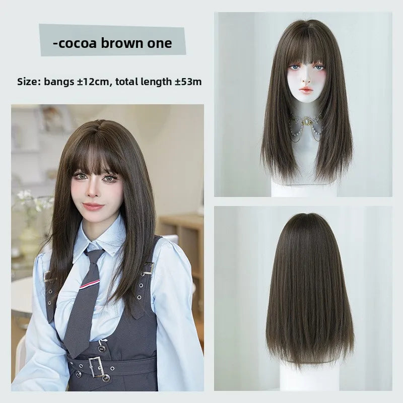 Long Straight Synthetic Wig for Women Natural Look Daily Party Fashion Celebrity Style Full Head Hair Extension